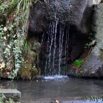 Женские слензы водопад парк