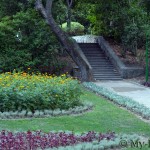 Мисхорский парк — памятник садово-паркового искусства (заложен в конце XVIII века