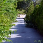 Зеленые дорожки Ливадии