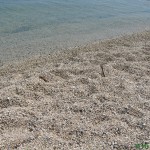 Песок пляжа отеля Лутровия