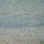 Остров Корфу живет курортом, поэтому с чистотой воды проблем нет